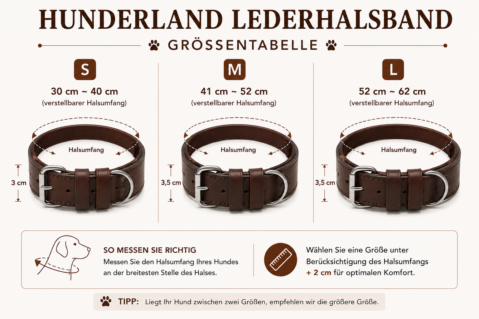 Zwin prong Leder Halsband - Peritas – Bild 7