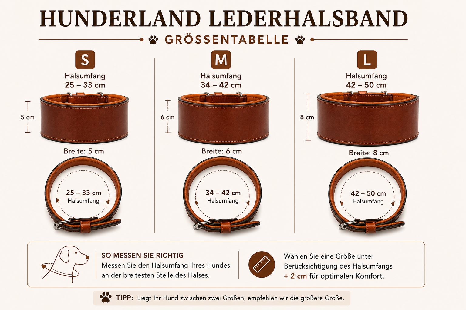 Windhund hundehalsband - Kanichi – Bild 9
